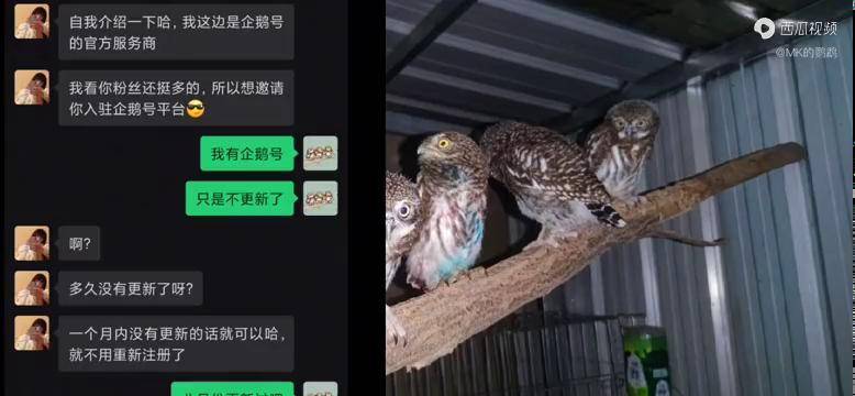 腾讯企鹅号黎明计划然来我早就遇到过