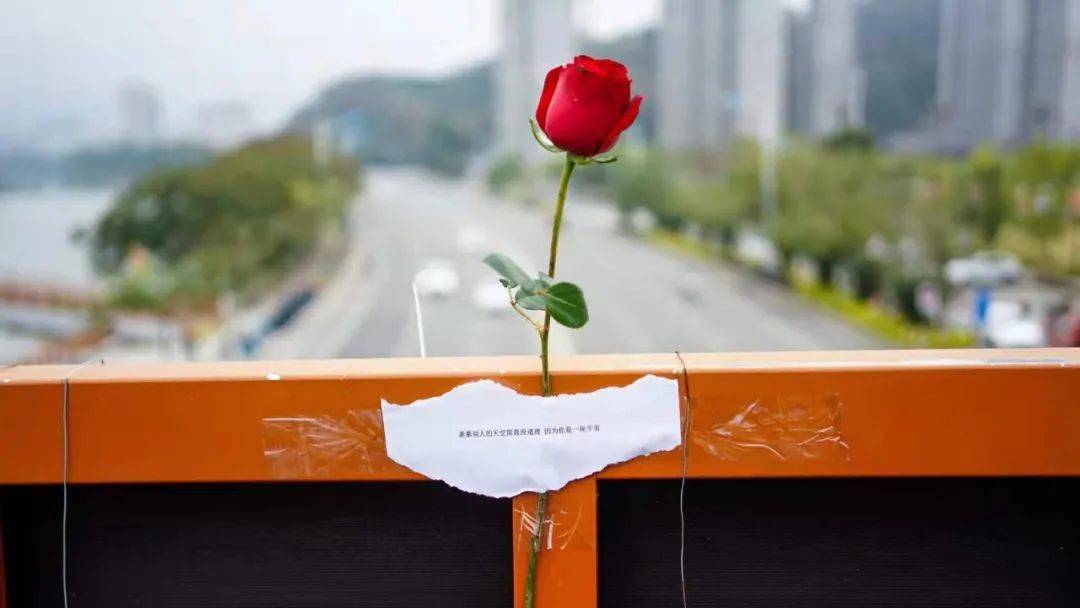 应急玫瑰浪漫至死不渝