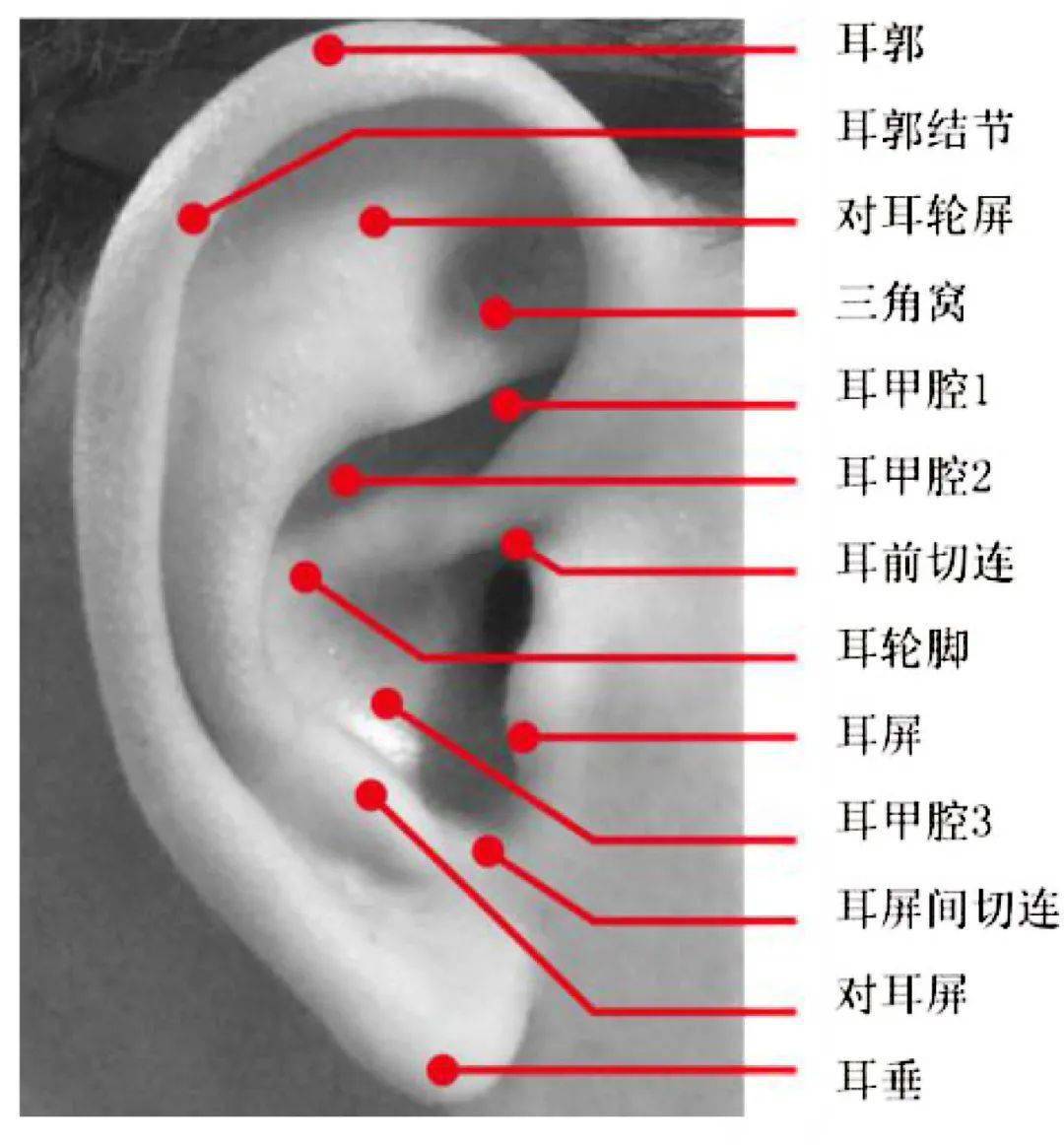 耳机人体工学方法秘籍