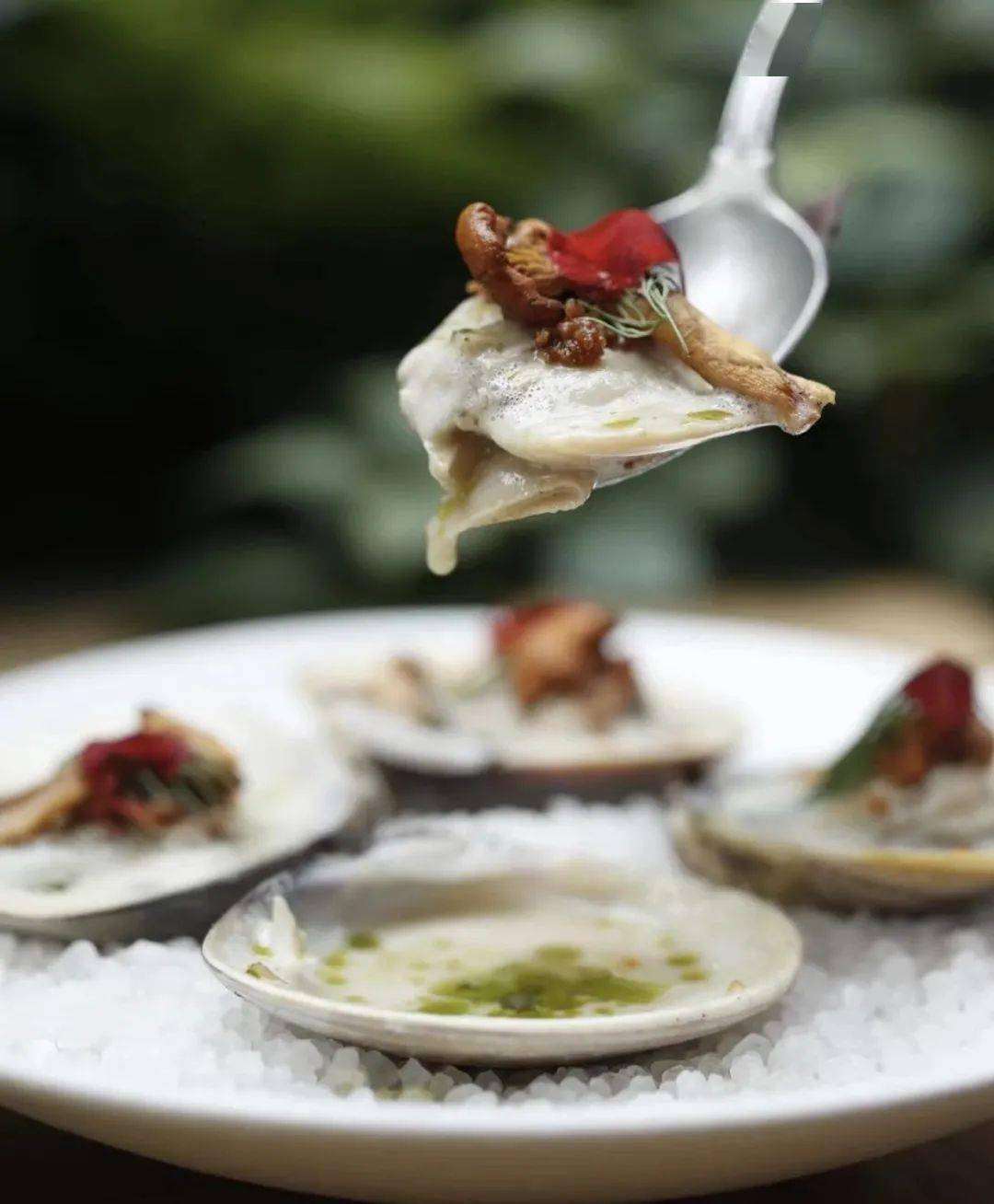 菜品6家超适合约会的餐厅！人均百元，氛围感满分