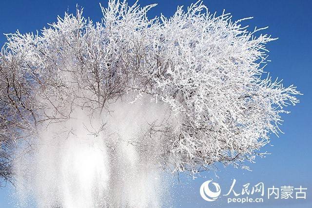 品牌|从大草原到大雪原，内蒙古展开冰雪品牌壮美画卷