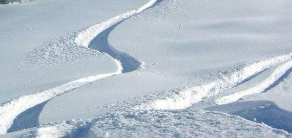 规则|追光|谷爱凌昨日比赛延期，滑雪比赛怎么怕起下雪了？