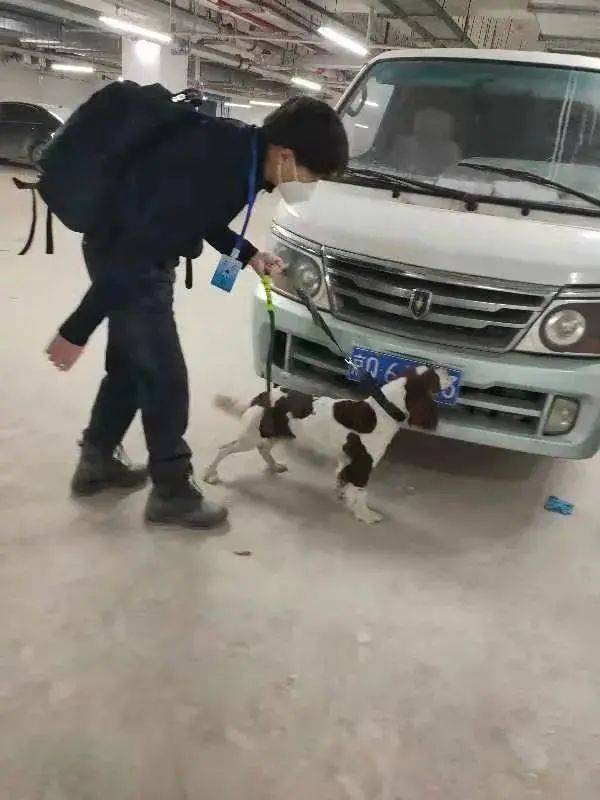 冬奥会|点赞｜牡丹江民警带领警犬出色完成冬奥会安保任务