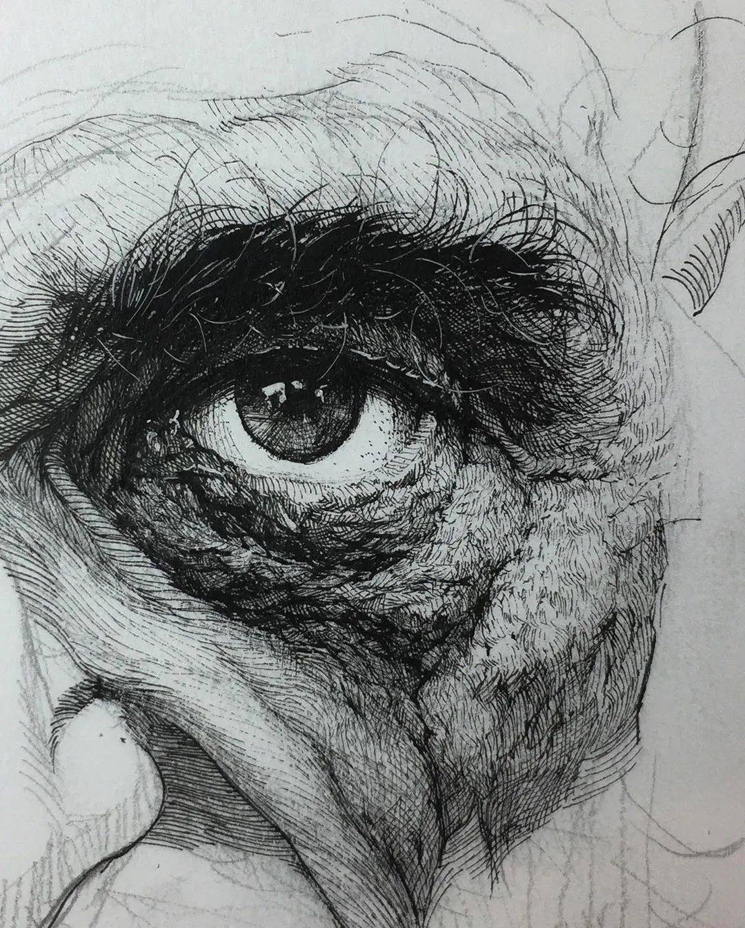 清晰的线条,必看的"排线几种表现方式_dunn_绘画_美国