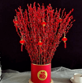 庆新年 新加坡十大年花 快来看看都有什么 象征 文竹 盆栽