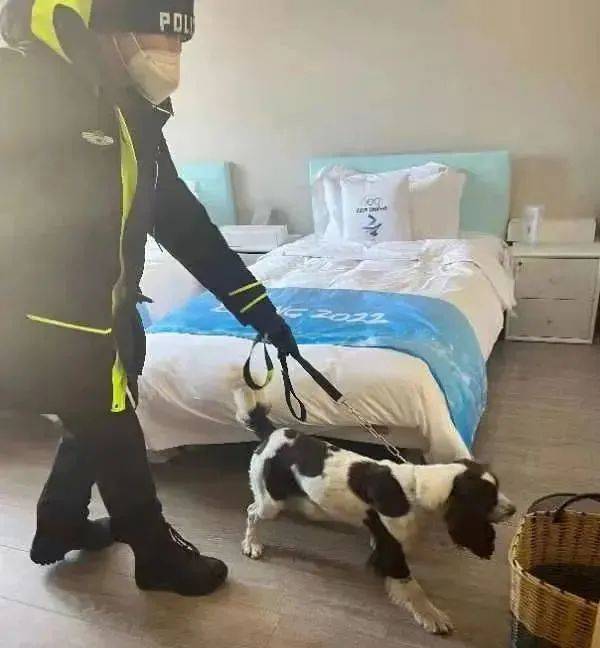冬奥会|点赞｜牡丹江民警带领警犬出色完成冬奥会安保任务