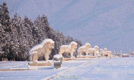 河北|雪后清东陵景区美如画卷