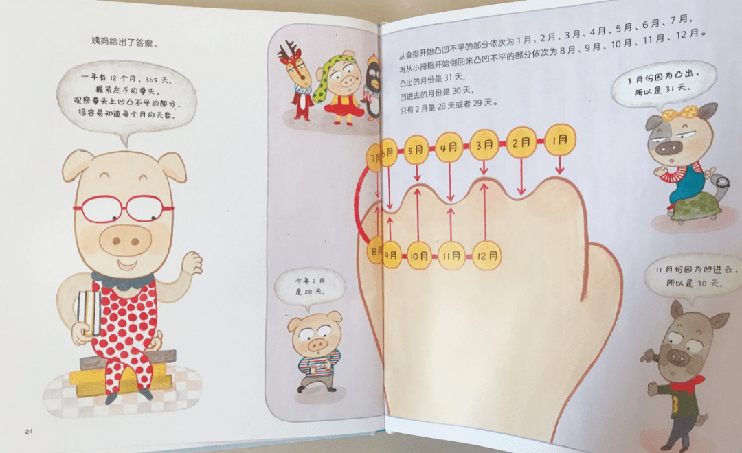 而猪猪姨妈还用了"拳头记月法"教孩子们如何记住一年中的大小月及天数