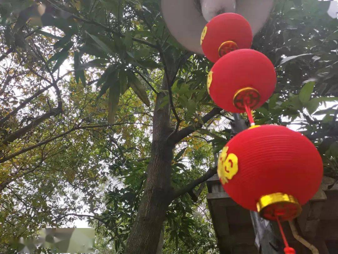 王者|Redmi K50 电竞版首发体验:3299 元起售,能否焊上游戏手机的大门?