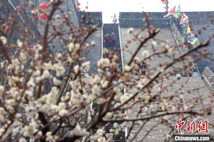 市民|民众登上南京明城墙“踏太平”“走百病”
