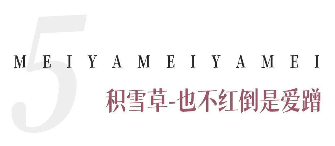 原料20块钱一公斤?护肤品成本这么低??