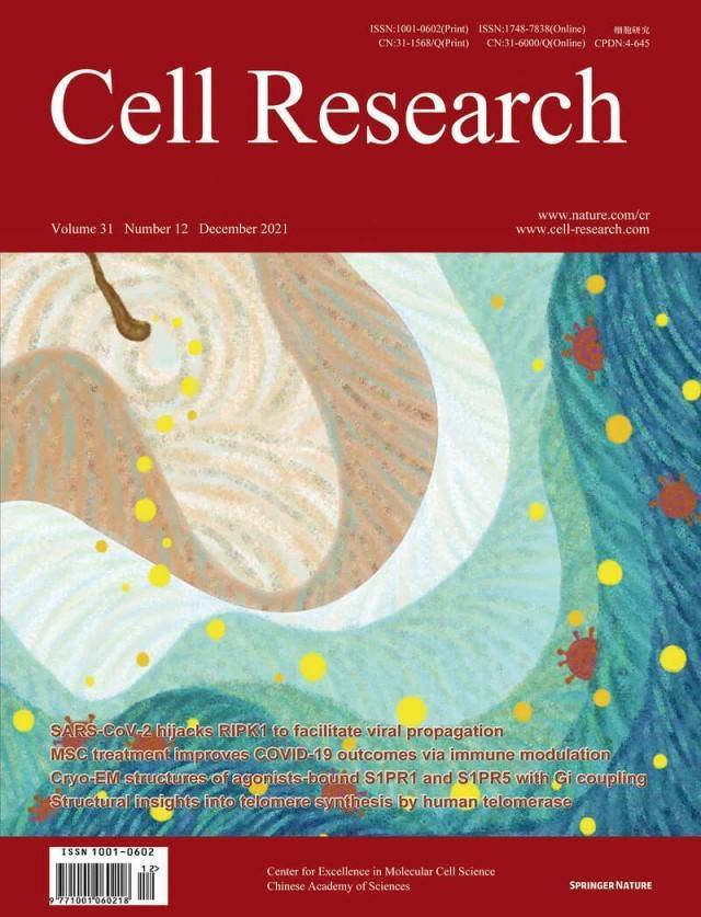 我国科技期刊学术影响力持续提升 7种期刊跻身学科第一