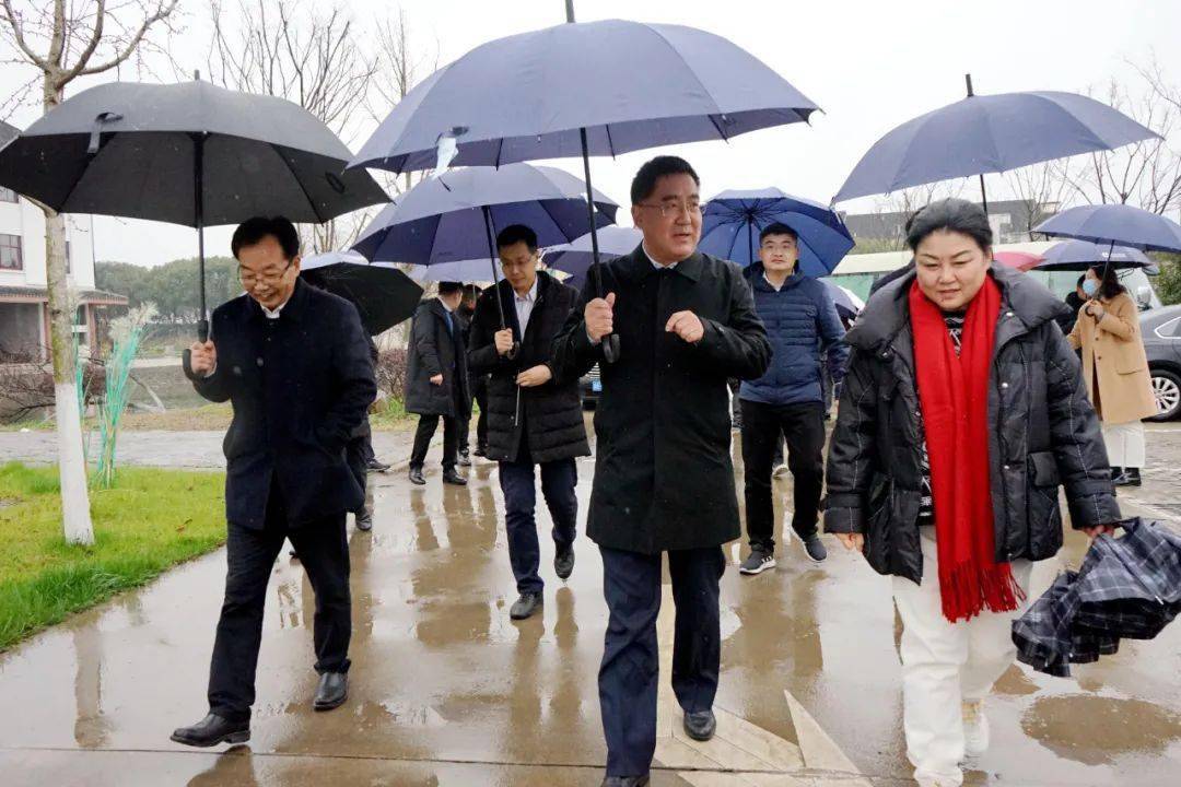 农业农村部国际合作司司长隋鹏飞来浔调研_桑基_鱼塘_系统