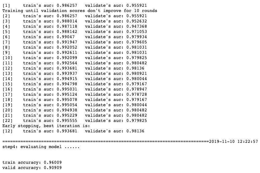 30 分钟看懂 LightGBM（Python代码）_XGBoost_算法_特征