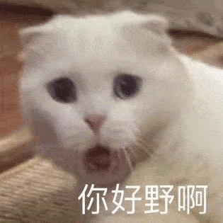 原料20块钱一公斤？护肤品成本这么低？？