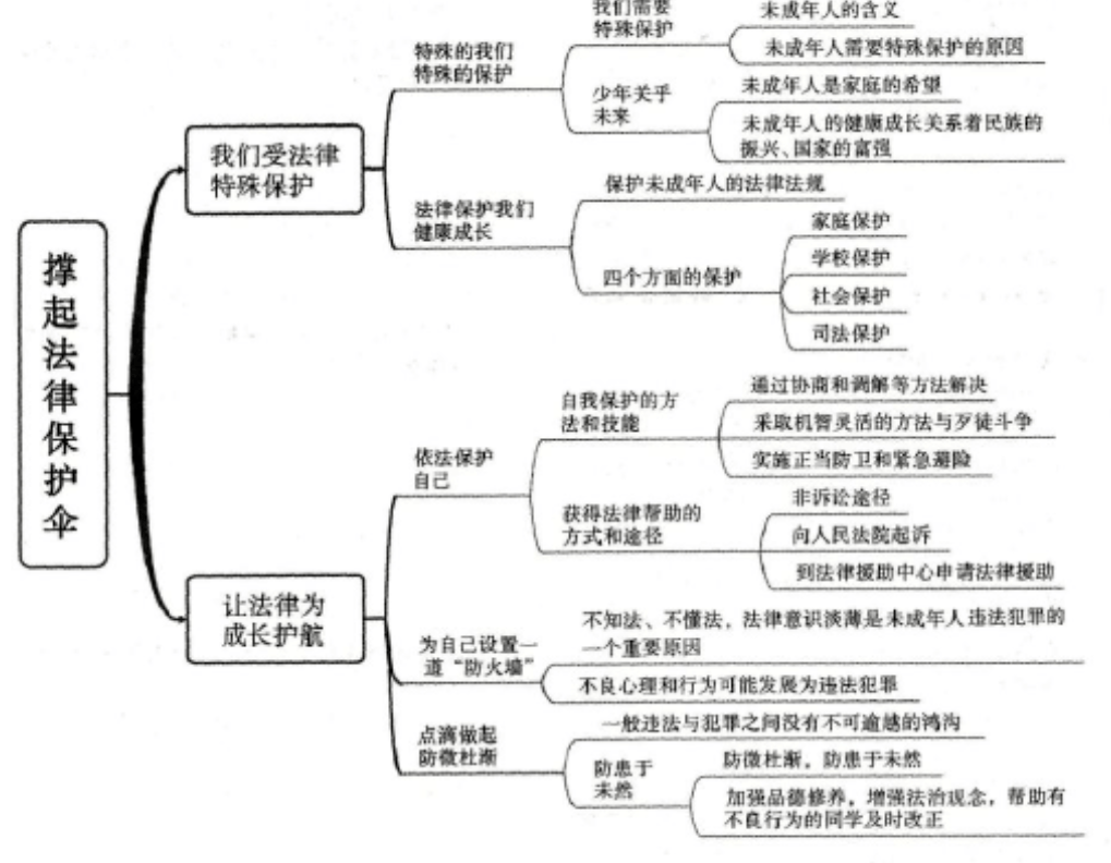 政治·七八九年級·下冊思維導圖彙總_單元_結構圖_技巧