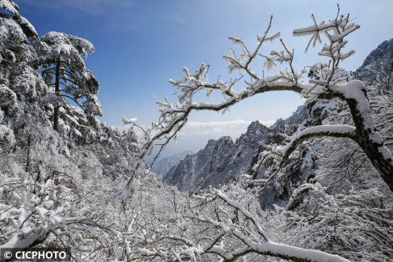 游客|飞雪迎春到