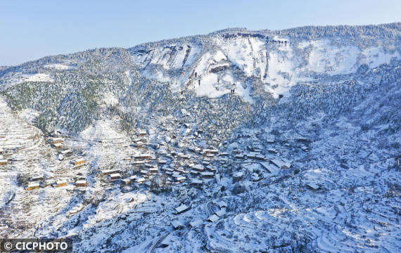 游客|飞雪迎春到