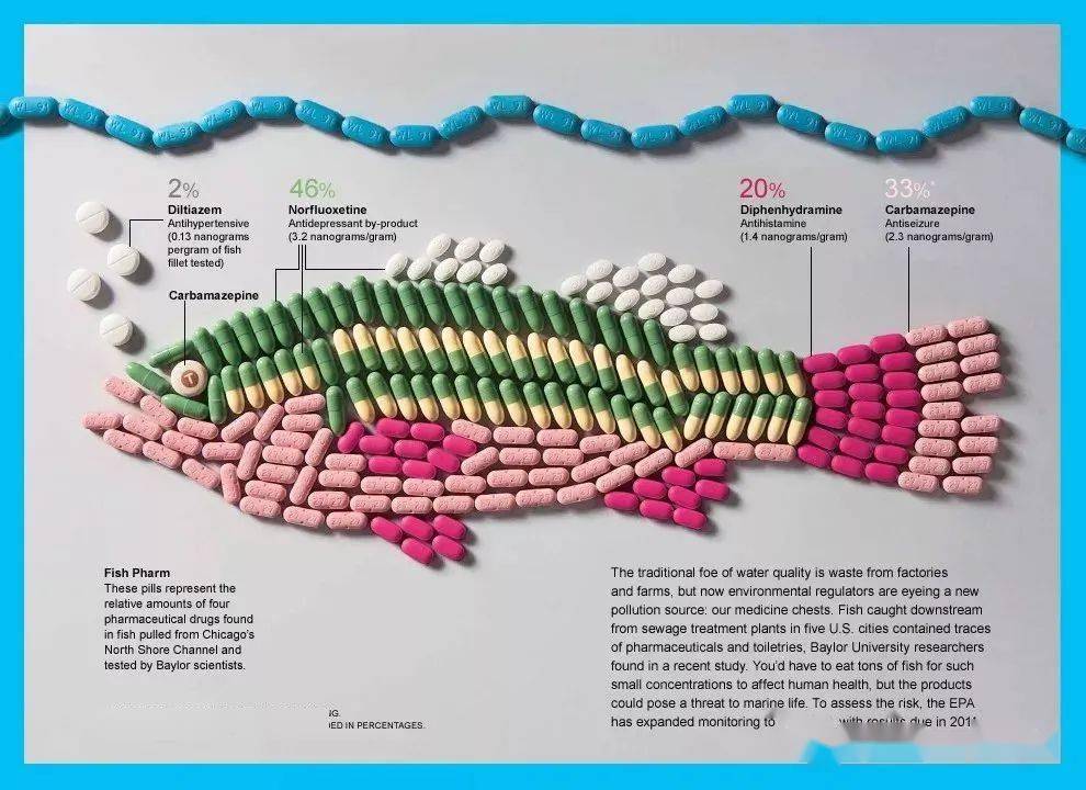 者竟然一點也不恐懼,還有各種魚類因為吃了某些激素後變得