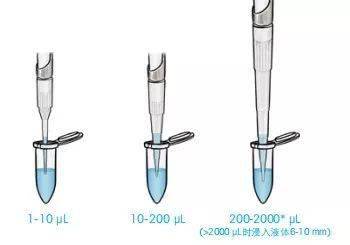 移液枪知识小科普