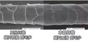 颜色 这款打底衫，我买了10个颜色，太好穿了，只要69！