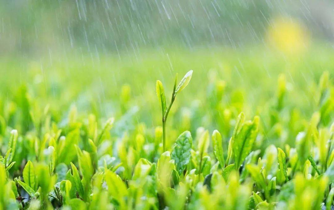 新生|今日雨水：春风化雨，万物新生，适度运动让身体充满元气