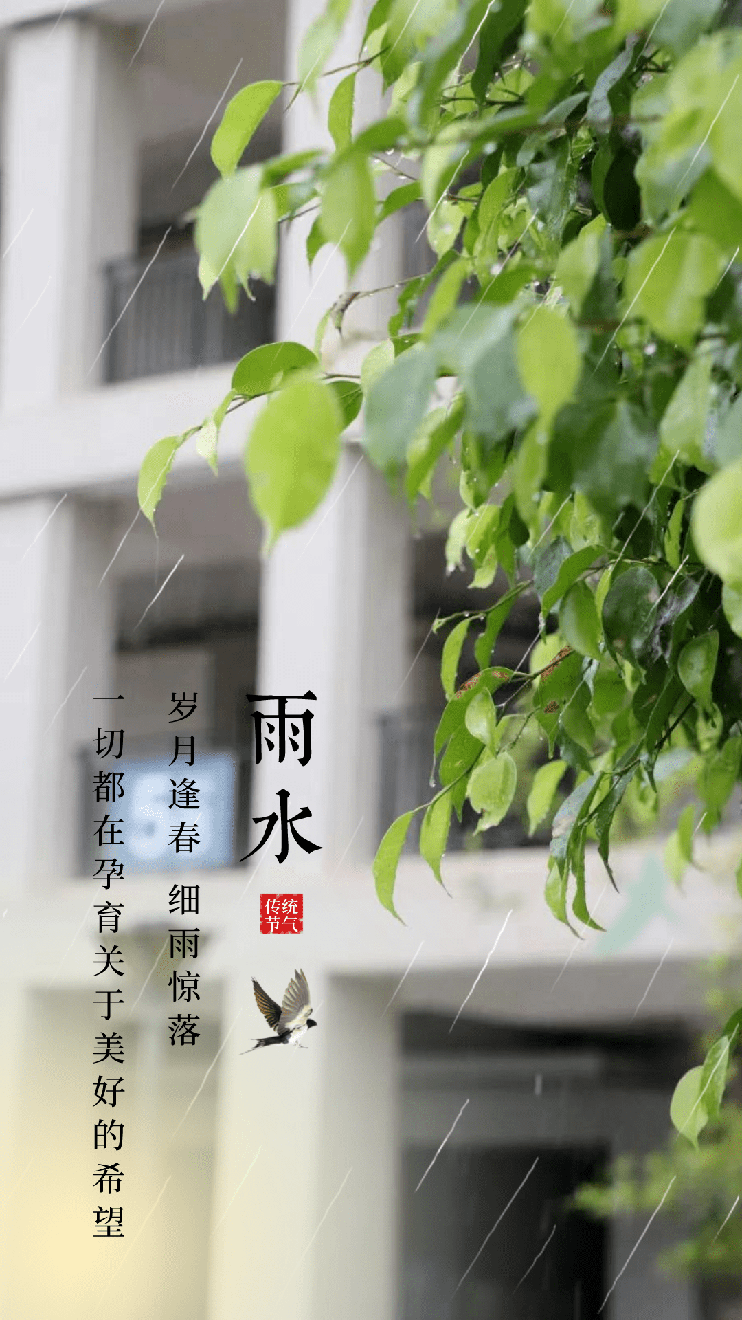一场春雨一片生机