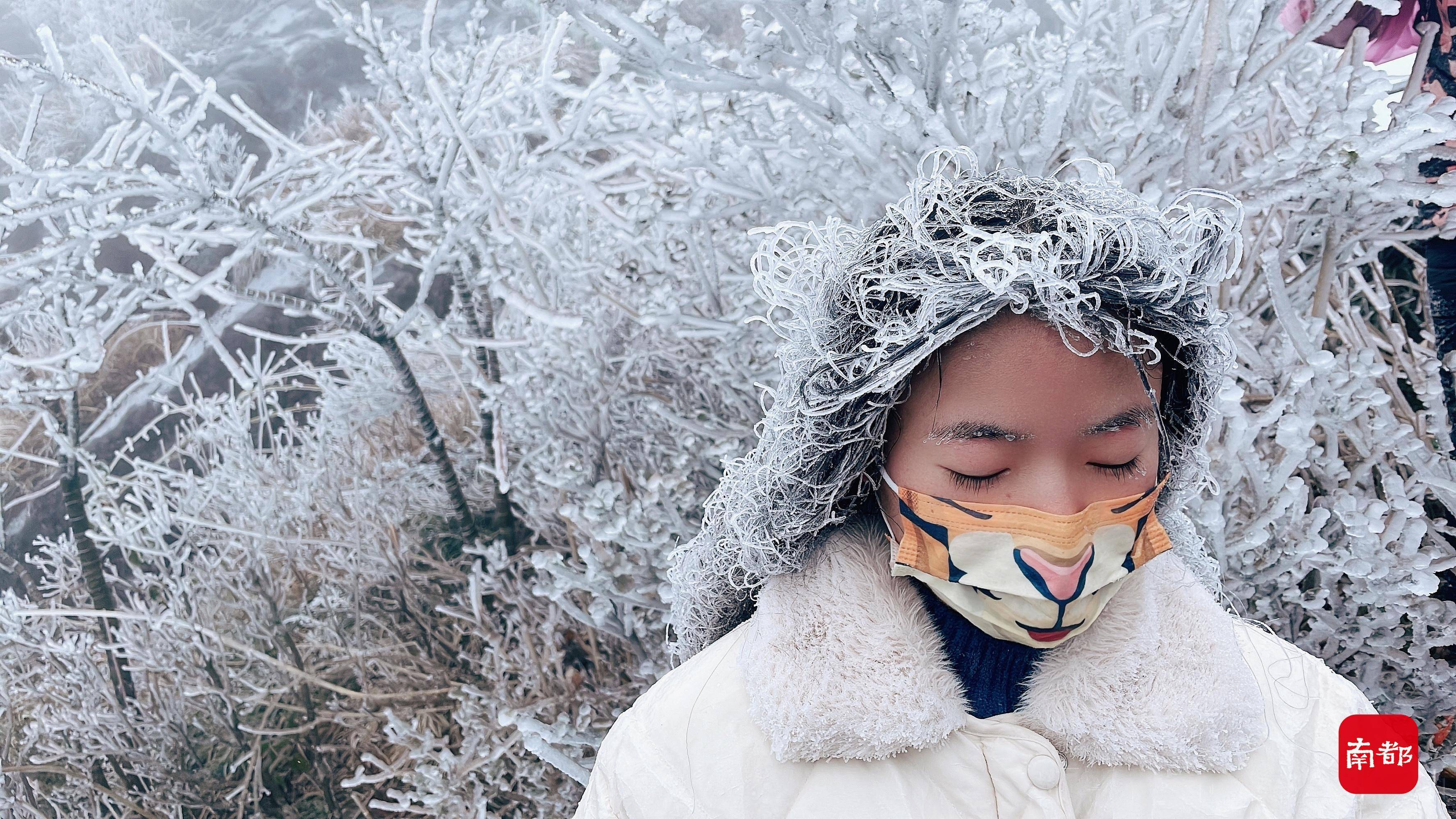 广东|图集：粤北最低气温降至-3℃，广东金子山游客长发挂冰