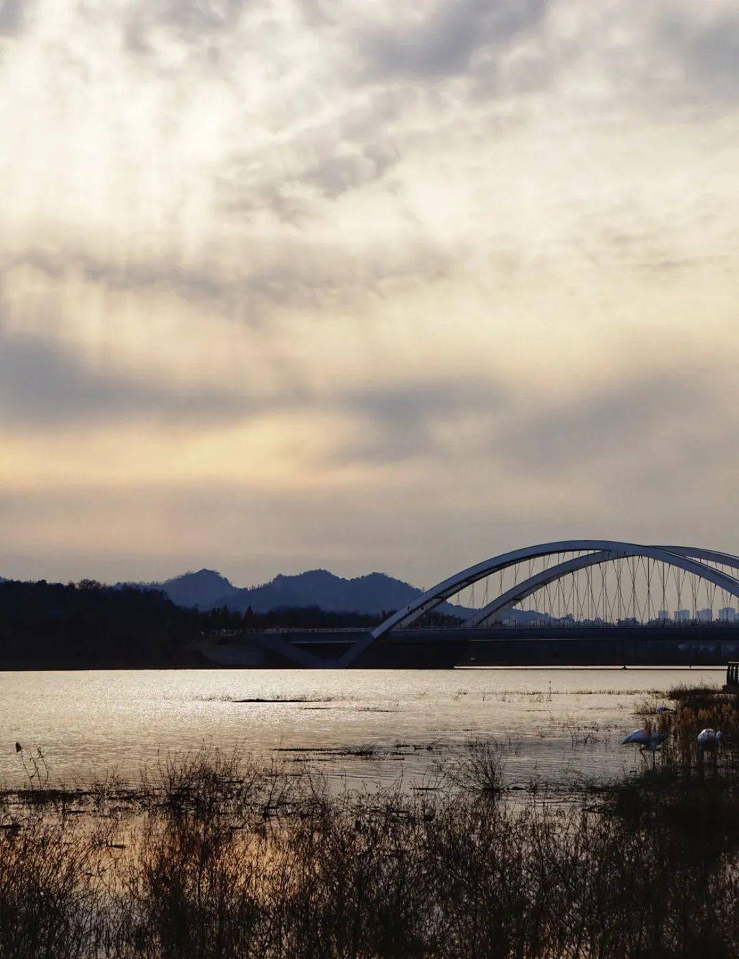 九江芳兰湖湿地公园,坐落于九江市科技城核心区域,东至鄱阳湖,南至