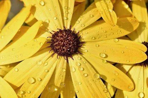 节气|今日雨水，万物萌动，快把这些知识讲给孩子吧