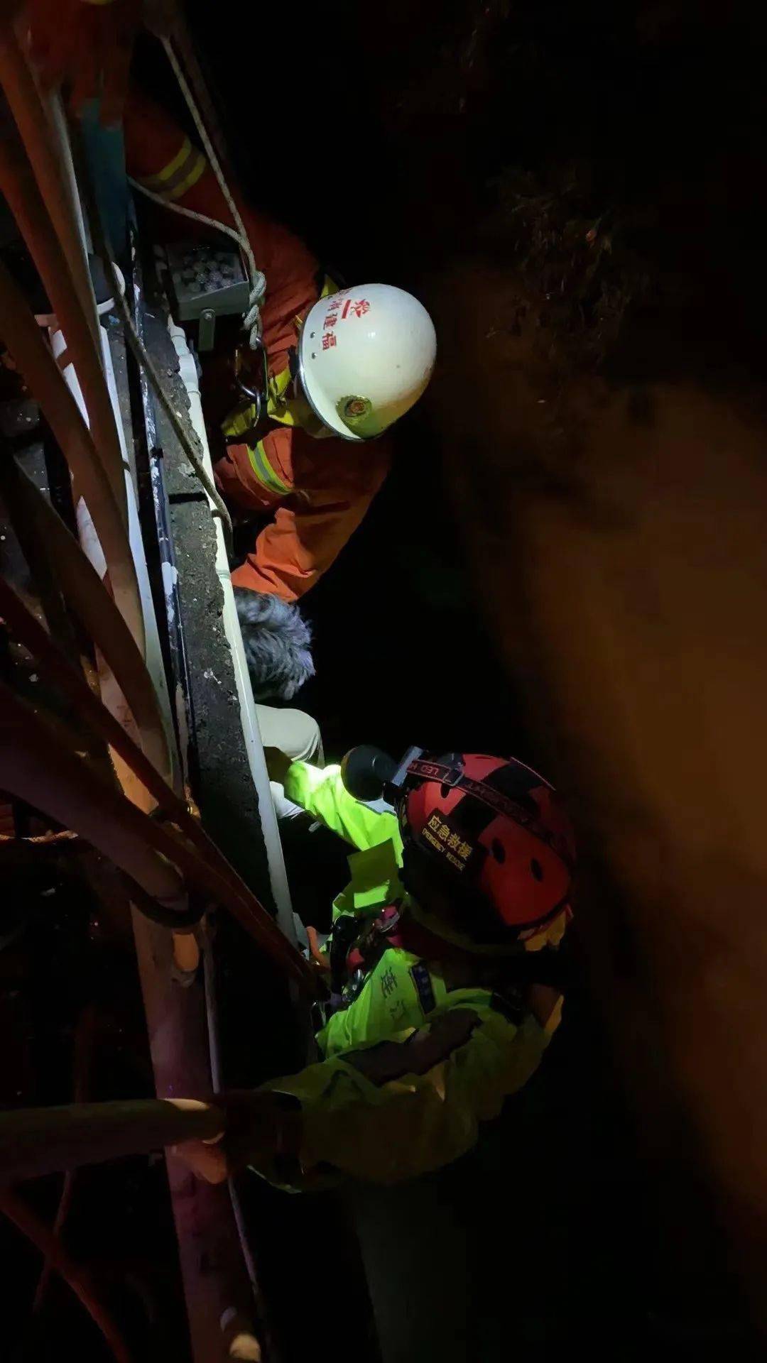 救援_桥洞_人员