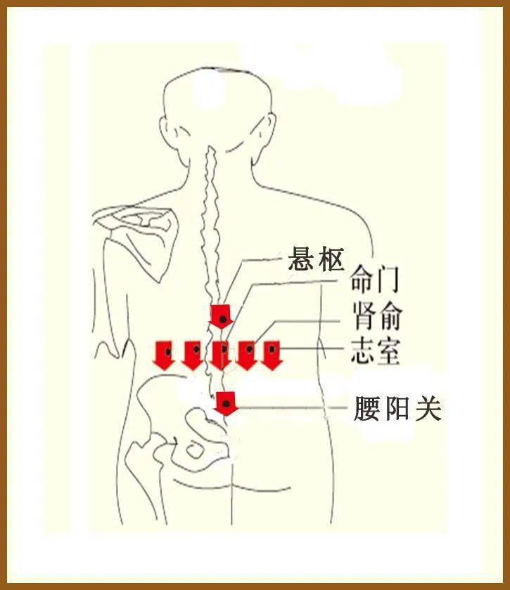 十七椎:十七椎穴位于人体腰部,当后正中线上,第五腰椎棘突下凹陷中.