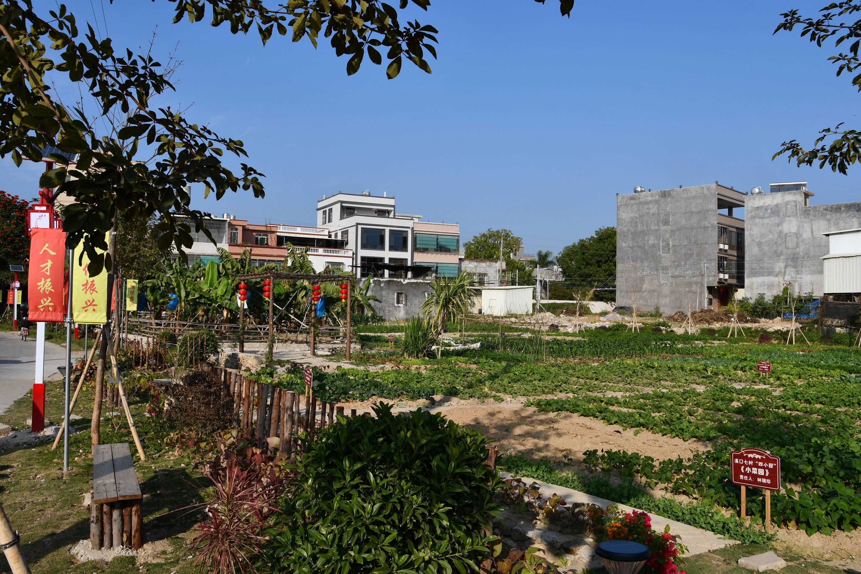 以打造"四小园"为切口 潮州湘桥这个村落迎来蝶变_七村_溪口_建设