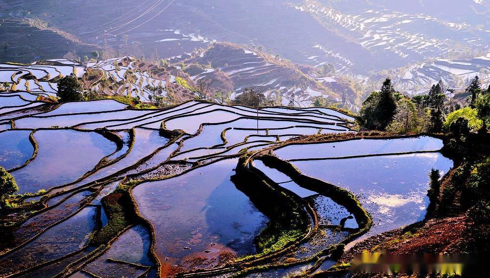 他撒梯田位于被称为"棕榈之乡"的红河县甲寅乡的他撒村.