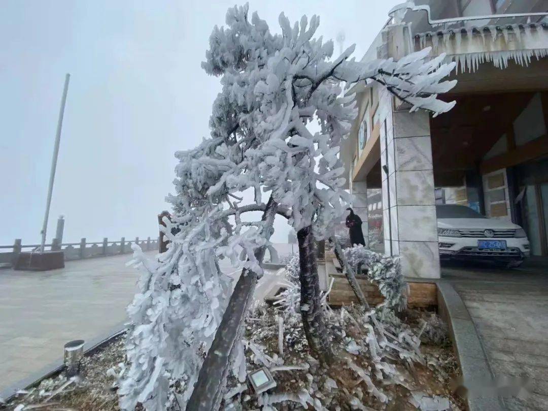 泉州人今天都在等下雪?剛剛,終於……_九仙山_福建_德化