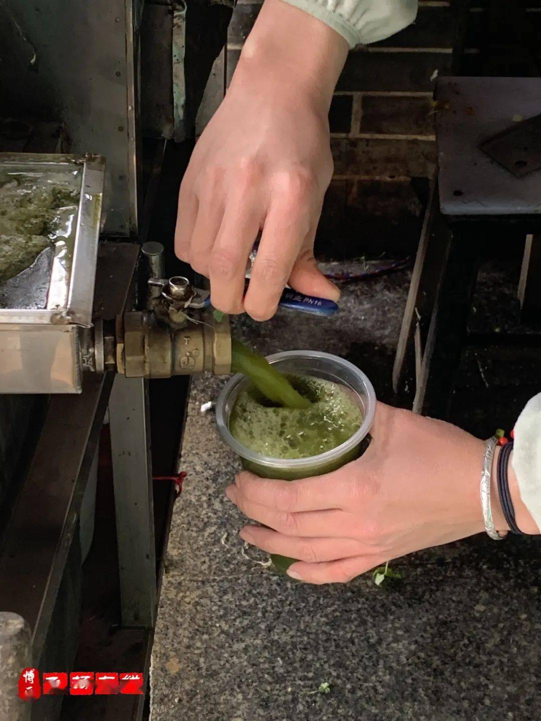 雷公根不仅具有清热解毒,还有一堆其他很厉害的效果.