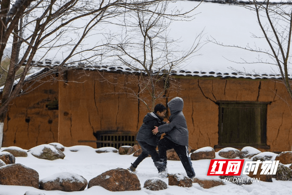 树作|湖南蓝山：春雪如期而至 雪景美不胜收