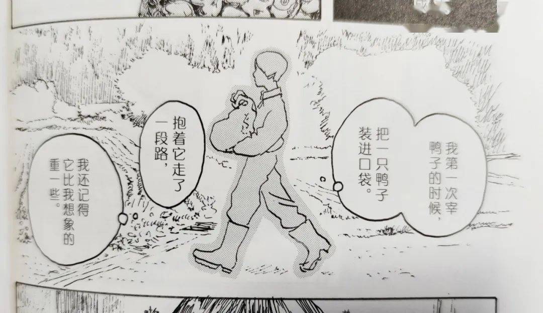 城市生活|一本从日本乡间吹来的漫画，那是五十岚大介的桃花源