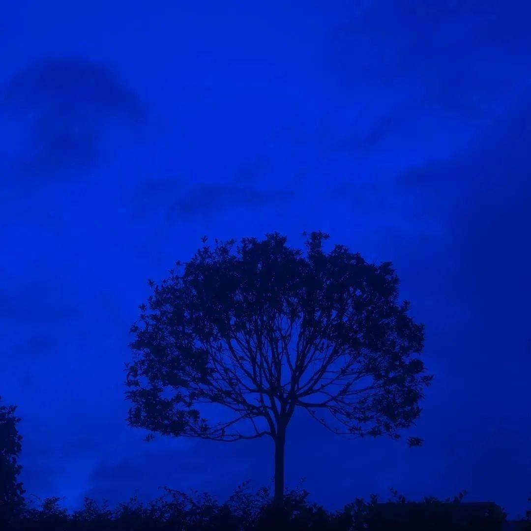 背景图| 克莱因蓝_头像_微信_壁纸