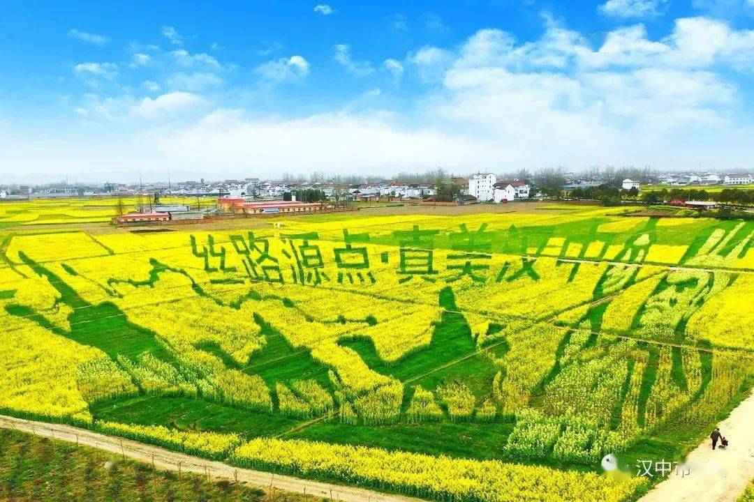 花海|2022中国最美油菜花海汉中旅游文化节活动抢先看！快收藏~