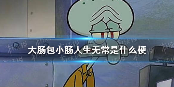 人生无常大肠包小肠是什么意思人生无常大肠包小肠下一句