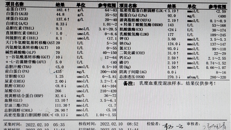 护士给予抽血化验,抽出的血标本让