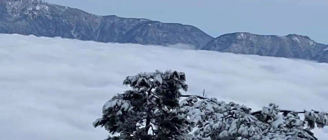 【又一场雨雪来袭,中雪、大雪,局部暴雪!接下去有个好消息,你期待已久!】_气温_后天_白天