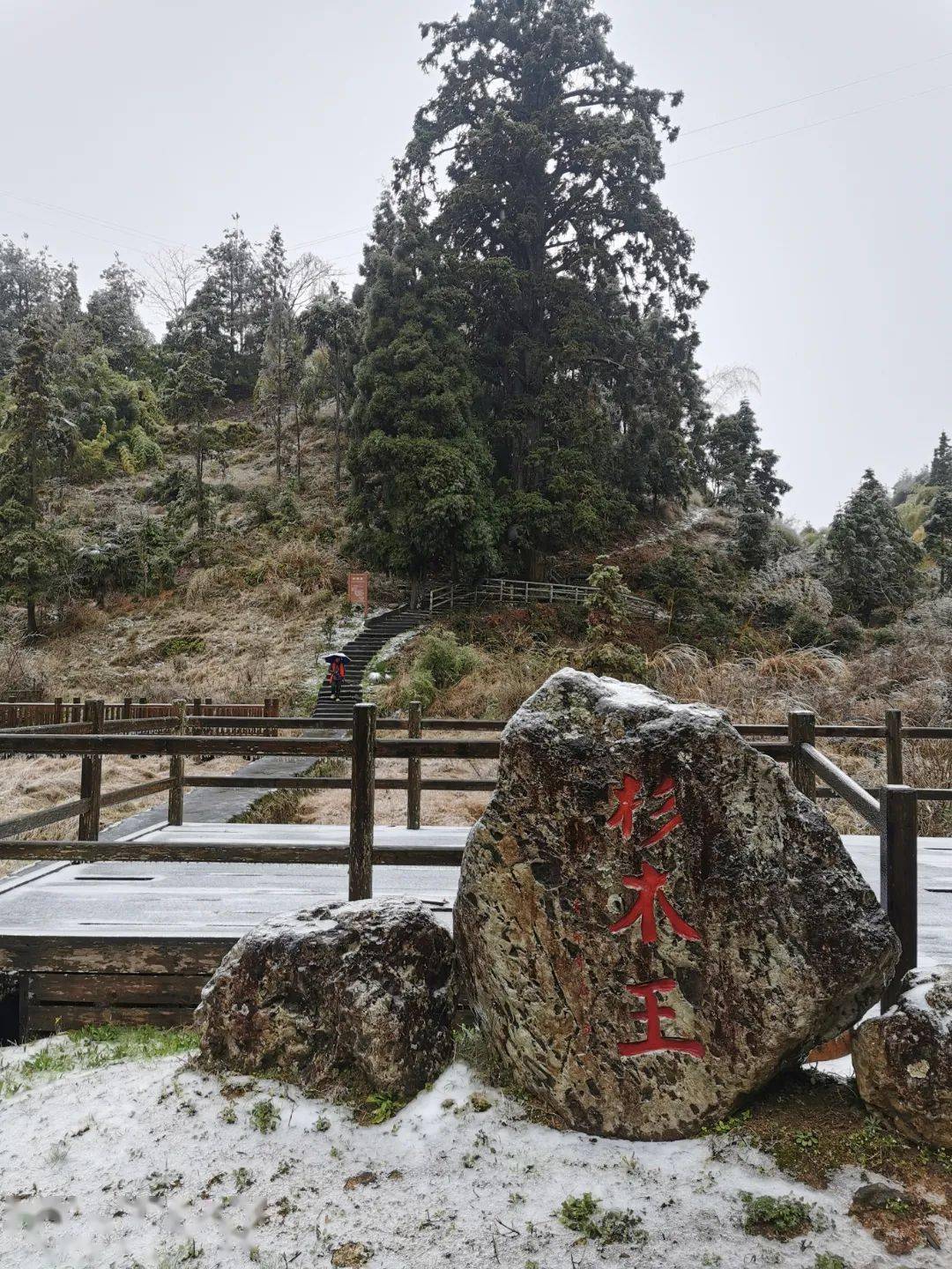 美龙岩多地喜提雪景天宫山莲台山红尖山图