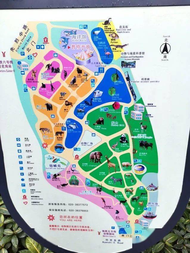 广州动物园平面图高清图片