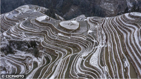 罗京来|贵州从江：雪落梯田美如画