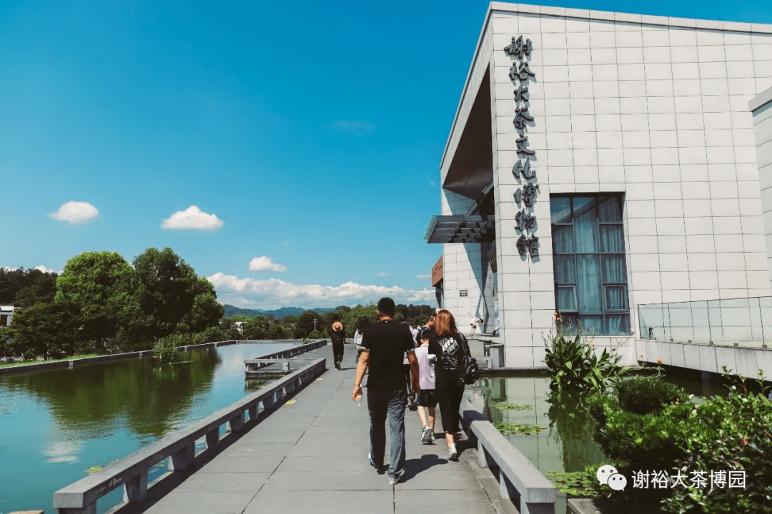 參觀謝裕大茶文化博物館活動完美收官六,勞動女神最美麗-比比誰的廚藝