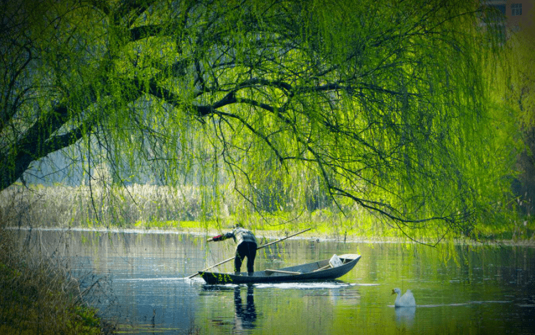 副刊美文春江水暖