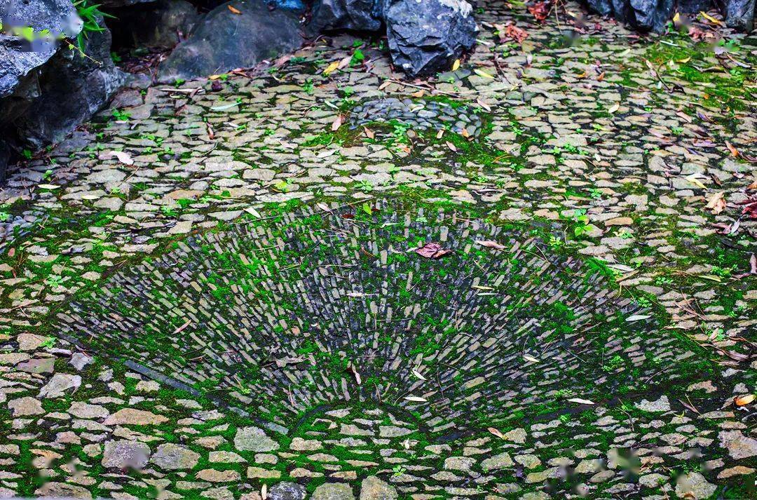 海棠|地上织绣，苏州园林的花街铺地