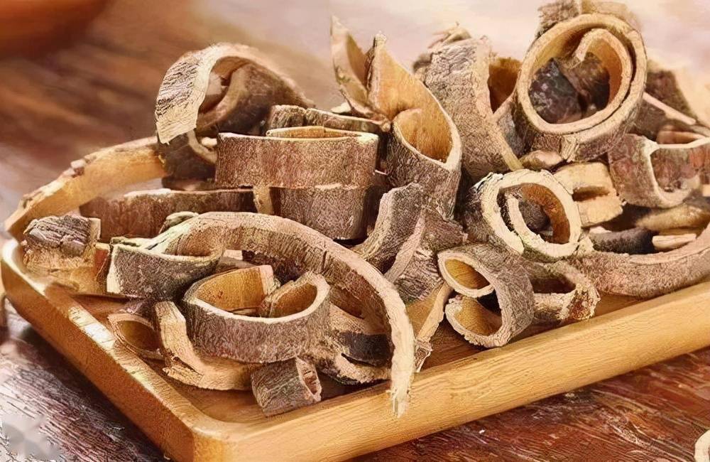 每天学习一味中药合欢皮